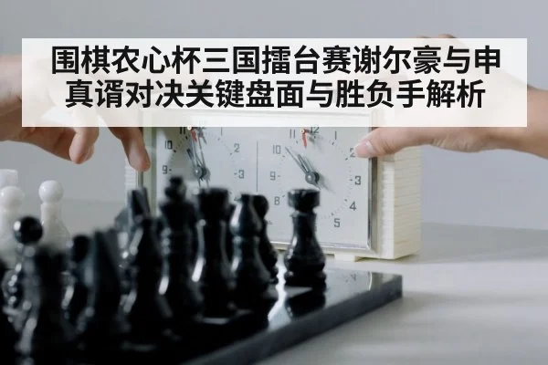 围棋农心杯三国擂台赛谢尔豪与申真谞对决关键盘面与胜负手解析